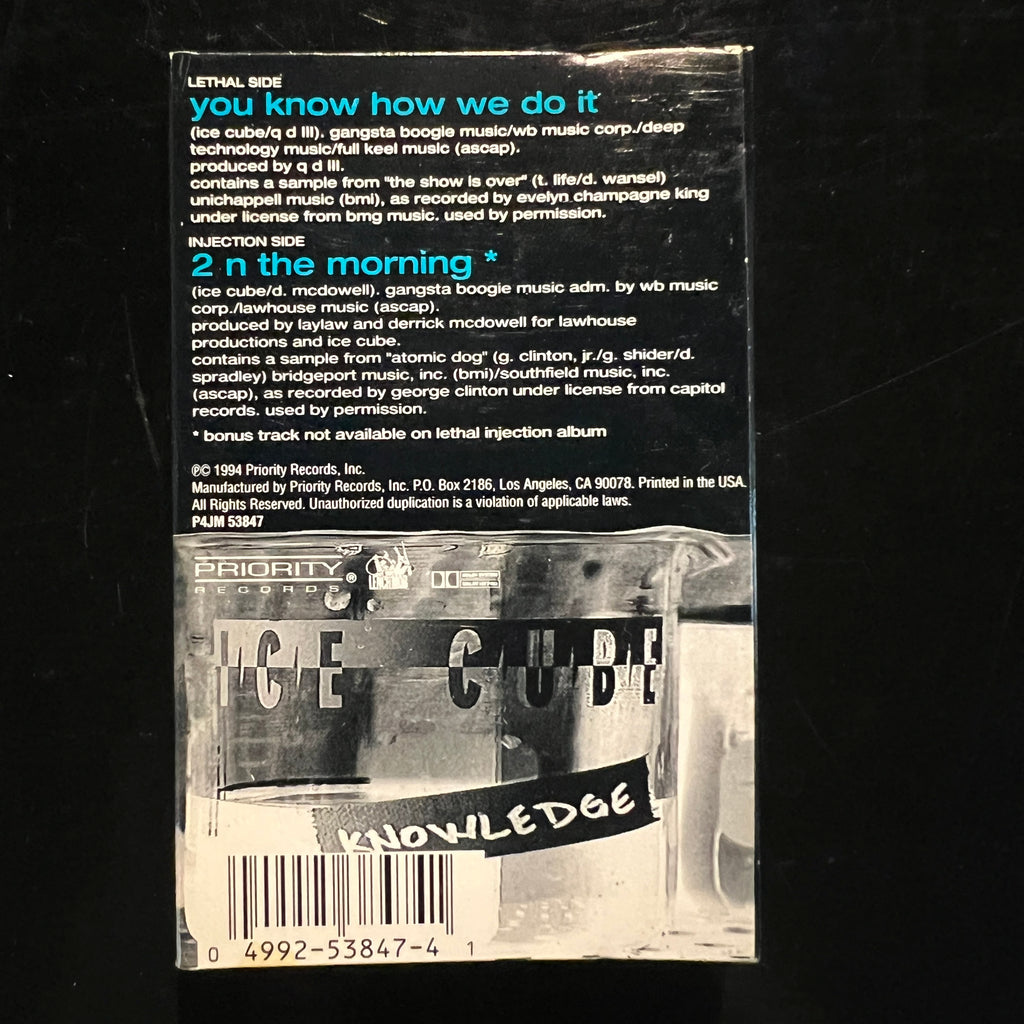 Ice Cube - You Know How We Do It (Cassette Single, 1994)
